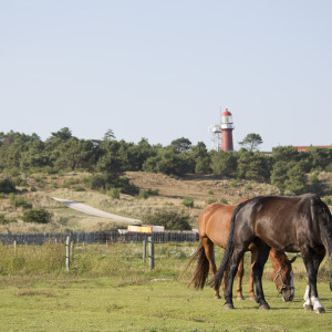 Vlieland