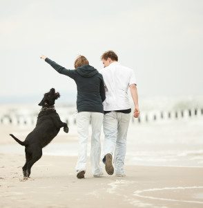 Loodshotel hond