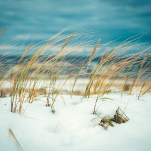 Winter vlieland